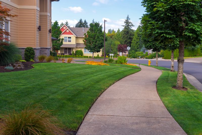 Driveway Sidewalk Repair